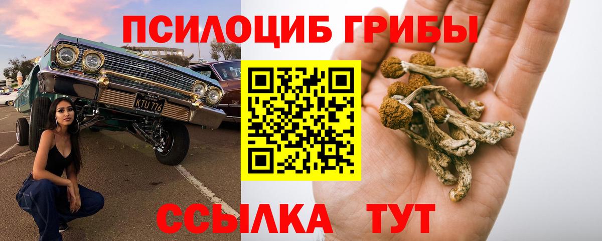 Тихорецк  Галлюциногенные грибы Psilocybine cubensis  Вход с VPN 